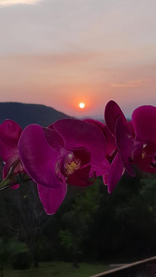 Pousada Flor De Lotus Dos Canyons Praia Grande  Exterior foto